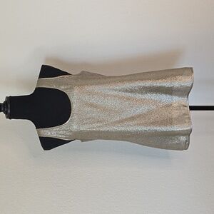 Ann Taylor Silk Tank Size 8 in a Gold/Silver Metallic